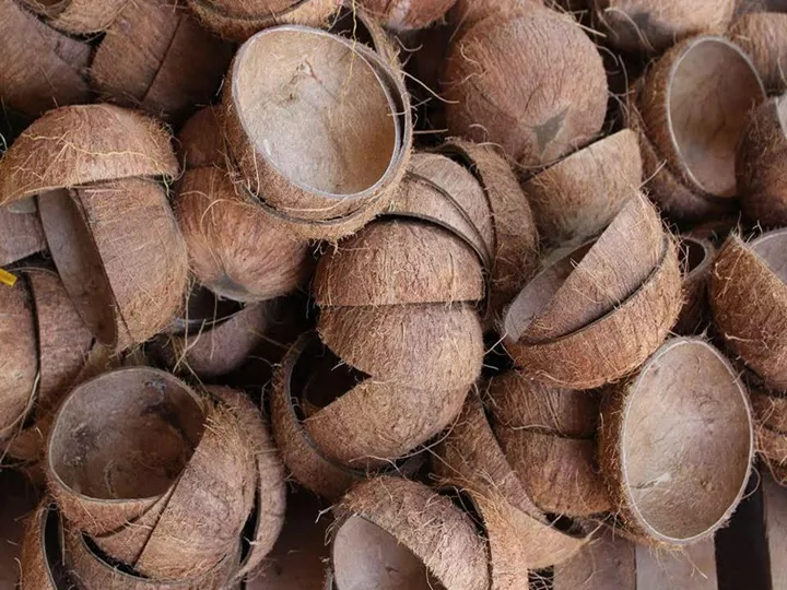 cáscaras de coco