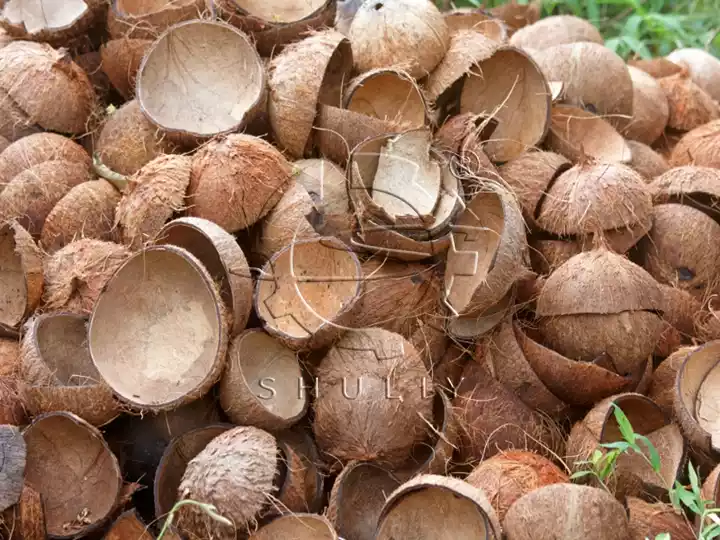 cáscaras de coco