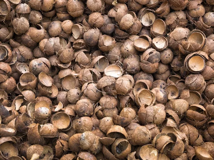 coquilles de noix de coco pour faire du charbon de bois