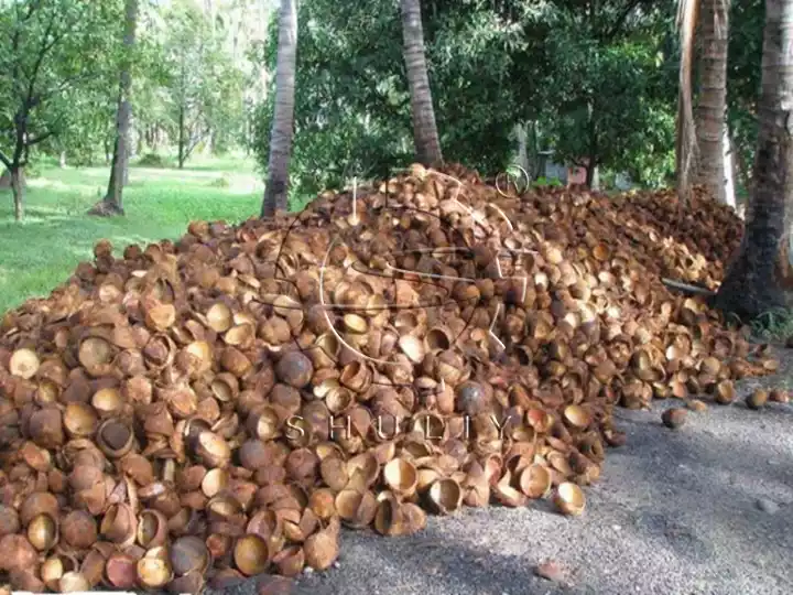 coconut shells