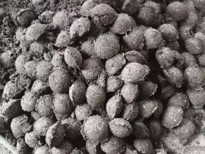 BBQ charcoal briquettes