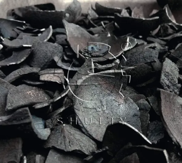 coconut shell carbon for the activated carbon rotary furnace